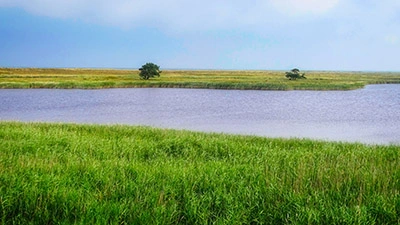 Nationalpark Vorpommersche Boddenlandschaft